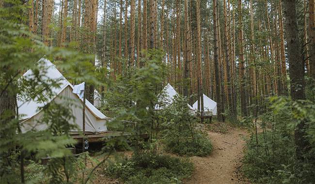 Why Is Glamping Becoming More And More Popular