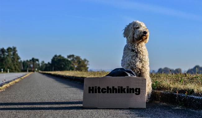The Benefits Of Hitchhiking